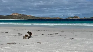 1 Year Lapping Australia, Esperance, WA