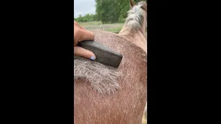 THE MOST **Satisfying** Groom