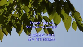 The King of Fools - Don McLean || with lyrics (영어가사/한글번역)