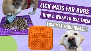 Lick Mat for Dogs (How and When to Use a Lick Mat)