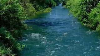 Beautiful Mountain River Flowing Sound. Relaxing Nature Sounds / Rain Sounds For Sleeping