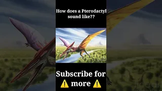 How does a Pterodactyl sound like?? 😱