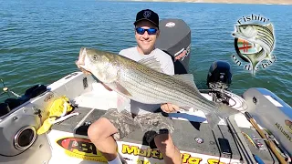 Monster Striper fishing with Roger George! San Luis Reservoir 10 4, 2022