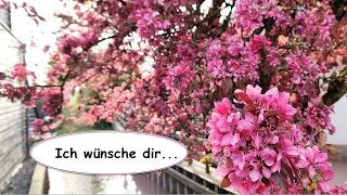 Ich wünsche dir einen schönen Tag🌸/Elena Krieger/ Foto/