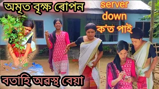 অমৃত বৃক্ষ ৰোপন । বতাহিৰ অৱস্থা বেয়া Assamese comedy video