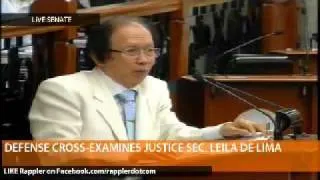 Defense cross-examines De Lima (Part 2)