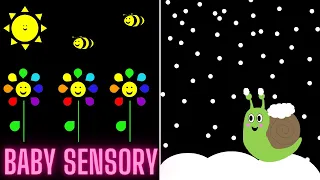 Baby Sensory Video | Seasons | High Contrast Colours, Classical Music and Fun Animation.