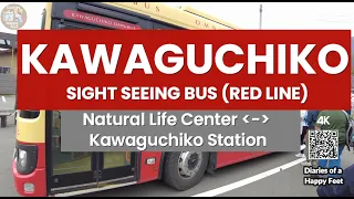 Diaries of a Happy Feet : 🚗 Sight Seeing Bus Red Line Bus Kawaguchicko Mt Fuji 河口湖 Japan 🇯🇵🗾 [4K]