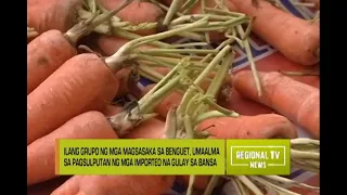 Regional TV News: Problema sa Agrikultura