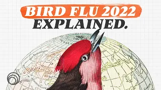 Bird flu 2022: a disaster of epic proportions