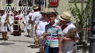 Lupara - Festa del grano in onore di Sant'Antonio di Padova - Clip - Viaggio in Molise - Telemolise