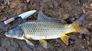 How to Catch Clean & Cook Carp - Simple Carp Recipe & Carp Fishing Tips