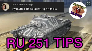 Tips and Tricks RU 251 WOT Blitz