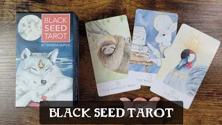 Black Seed Tarot