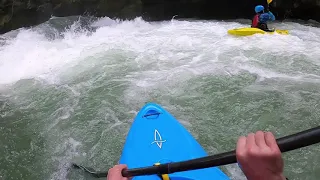 Dog, Kayak