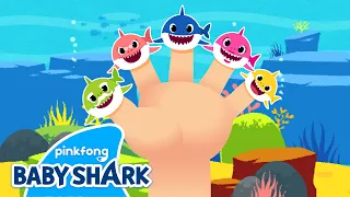 Shark Finger Family | Sing Along with Baby Shark | Baby Shark Songs | Baby Shark Official