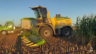 Orrson Custom Farming Corn Silage Harvest in North West Ohio