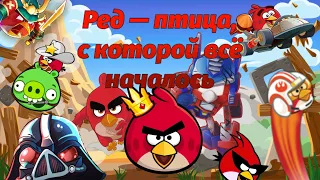 Всё о Реде: появления, характер, способности —Факты Angry Birds