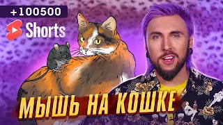 МЫШЬ НА КОШКЕ 🐁🐈 / +100500 #SHORTS