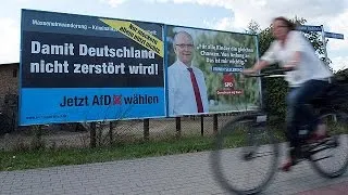 Starke AfD bei Landtagswahl in Mecklenburg-Vorpommern erwartet