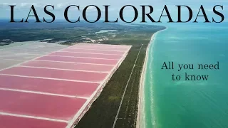 All you need to know before visiting Las Coloradas Mexico
