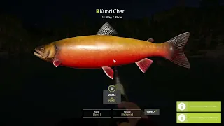 Russian Fishing 4 Spin 2022 - Ep 92 - Over 500 silver on 25 fish in 40 minutes.  Trophy Artic Char!