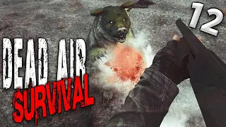 S.T.A.L.K.E.R.  Dead Air Survival (12) ► Рейд по схронам