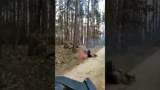 Russian loggers