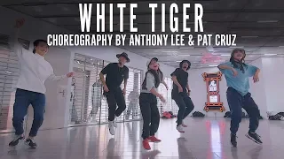 Anthony Lee & Pat Cruz "White Tiger (Cat Carpenter's Remix) Choreography