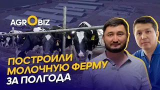 Как развиваются крупные и небольшие молочные фермы в Казахстане? Agro Trade PV и Акколь Агро