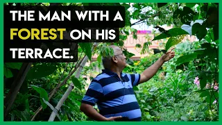 How did this man create a Forest in the middle of Bangalore City?