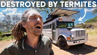 Everything I Built Got Destroyed By Termites // Costa Rica Renovations Episode 4