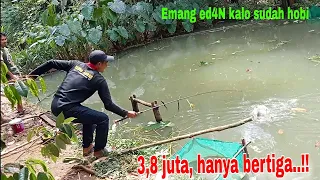 Hanya yang berani saja‼️sekali borong dua empang...( 3,8 juta )