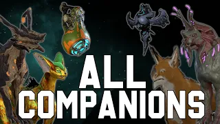 All Companions of Warframe