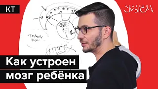 Как формируется психика человека? Факт-карта