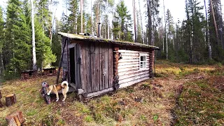 Как испечь оладьи в тайге. Рыбалка на сети. Еду домой на пару дней.