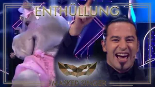 Wer ist das Nilpferd? | Die Enthüllung | The Masked Singer | ProSieben