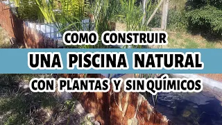 Como construir una piscina natural y ecológica sin cloro y con plantas