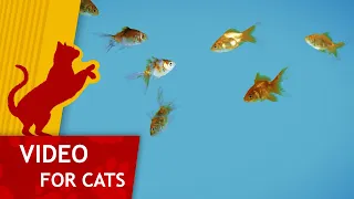 Movie for Cats - 🐟 Shoal of Gold Fish (Video for Cats) 4K