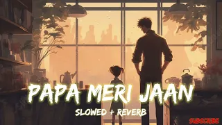 Papa Meri Jaan Lofi | Slow +Reverb | Sonu Nigam @SR Lofi