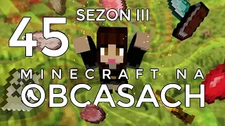 Minecraft na obcasach - Sezon III #45 - Pora popracować