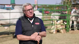 Vleissentraal’s Jan de Jong chats cattle breeds