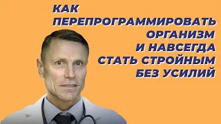 Как перепрограммировать организм и навсегда стать стройным без усилий