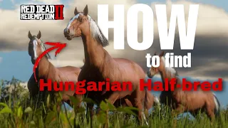 Spawn location of Hungarian Half-bred  |  Red dead redemption 2
