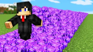 Minecraft but I have 1,000,000 Netherite!