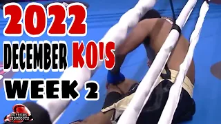 MMA & Boxing Knockouts I December 2022 Week 2