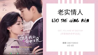 Lao Shi Qing Ren 老实情人 - 鼓鼓 GBOYSWAG OST. You Are My Destiny 《你是我的命中注定》 PINYIN LYRIC