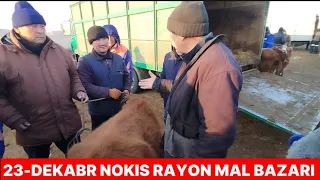 23-ДЕКАБРЬ НОКИС РАЙОН МАЛ БАЗАРЫ/СКОТНЫЙ РЫНОК/BUQALAR/BIGGEST BULLS IN THE WORLD/BIGG BULLS