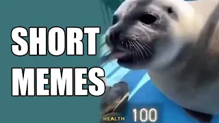 short memes and half-life seal V152