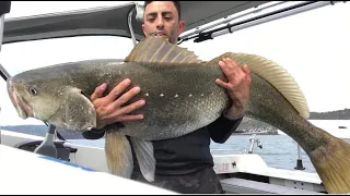 40KG SCREAMING JEWFISH RUN ! BIGGEST JEWFISH TAKEN IN THE HAWKSBURY IN YEARS !!!  #MASSIVE